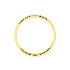 Alliance Effet Mat Ruban Plat Or Bicolore