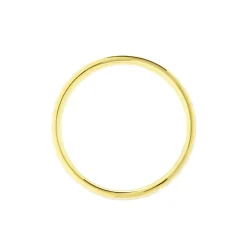 Alliance Grain De Folie Diamantee Ruban Plat Or Bicolore