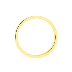 Alliance Raphie Ruban Plat Or Bicolore