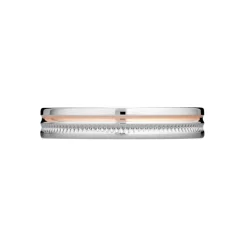 Alliance Viktorina Ruban Plat Or Bicolore