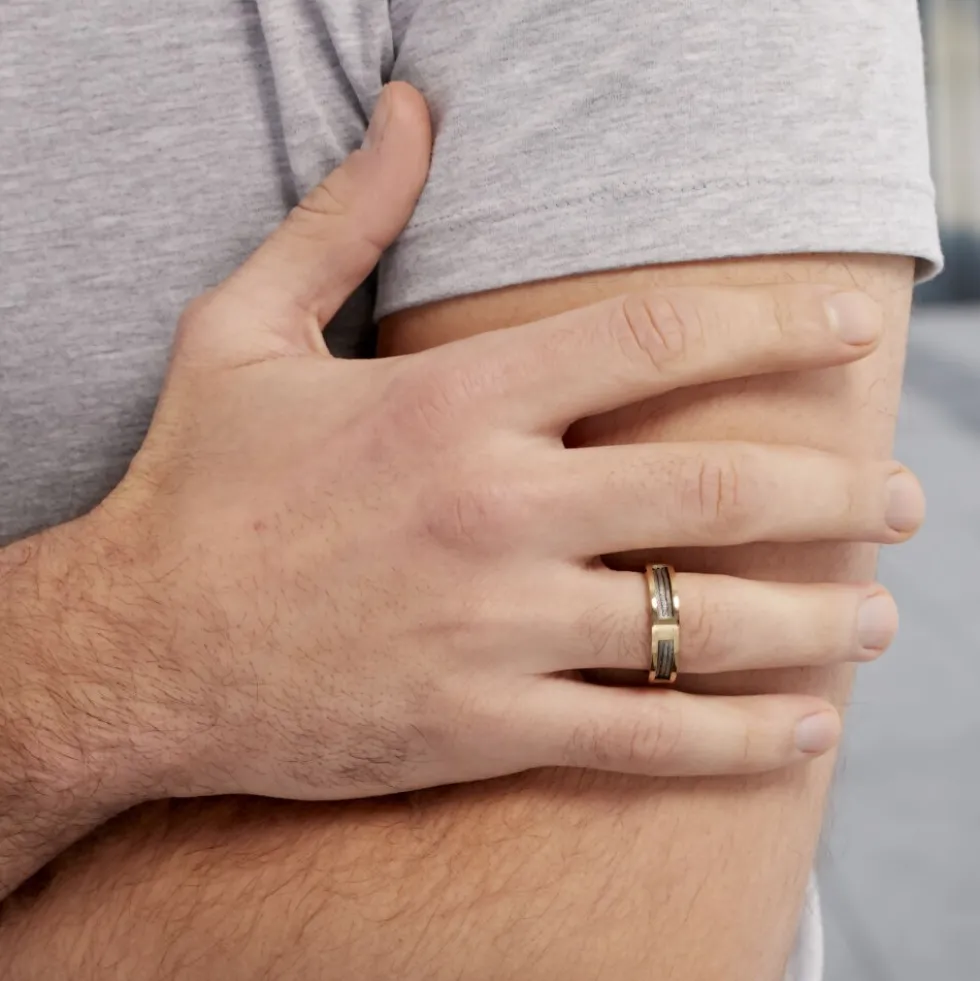 Bague Phebus Him Classique Acier Jaune