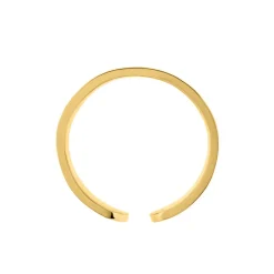 Bague Ruka Acier Jaune