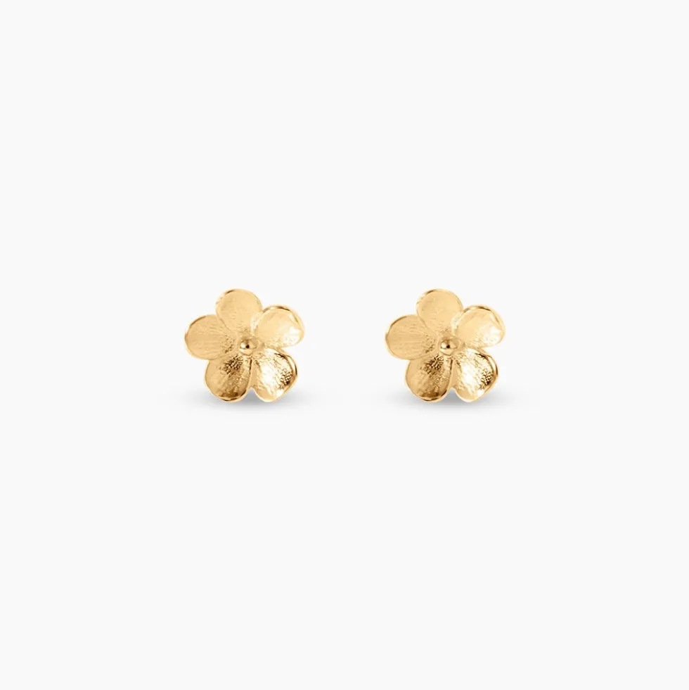 Bijoux D'Oreilles Caedmon Or Jaune
