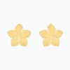 Boucles D'oreilles Puces Maora Acier Jaune