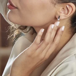 Boucles D'oreilles Puces Robinson Argent Oxydes De Zirconium