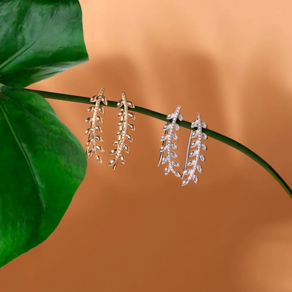 Boucles D'oreilles Grimpantes Folia Argent Blanc