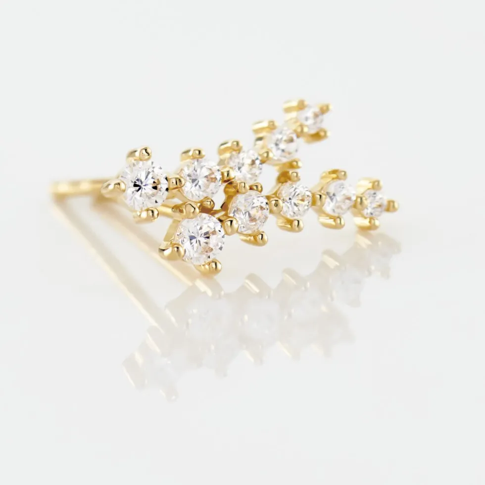 Boucles D'oreilles Puces Delia Or Jaune Oxyde De Zirconium