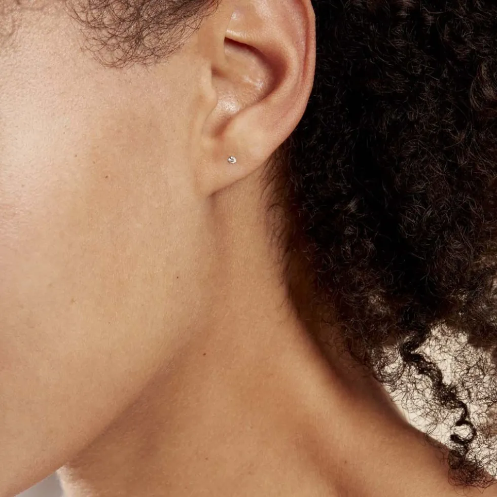 Boucles D'oreilles Puces Eddie Or Blanc Oxyde De Zirconium
