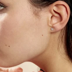 Boucles D'oreilles Puces Elais Etoile Or Blanc Oxyde De Zirconium