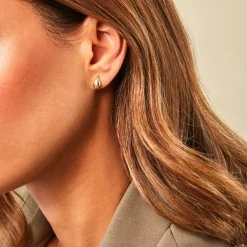 Boucles D'Oreilles Puces Eleone Or Jaune Diamant