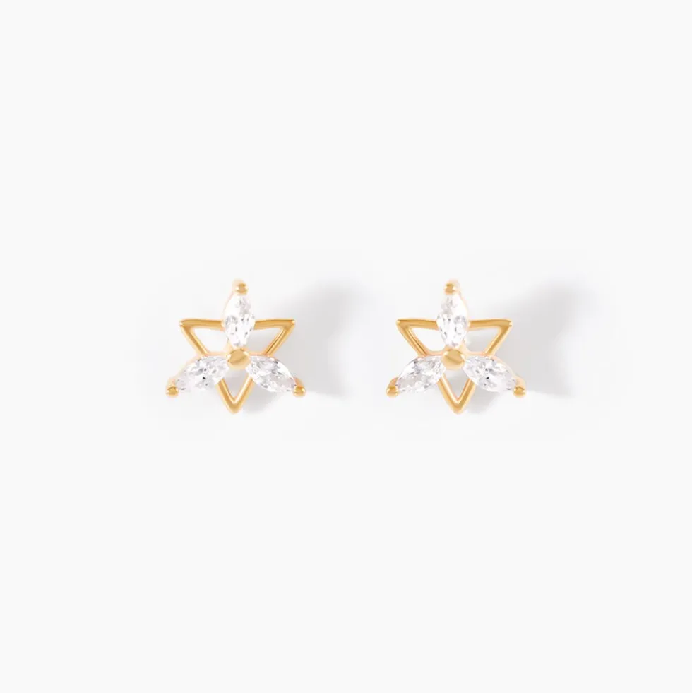 Boucles D'Oreilles Puces Farid Or Jaune Oxyde De Zirconium