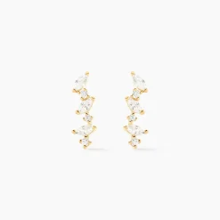 Boucles D'oreilles Puces Or Jaune Fortunella Oxydes De Zirconium