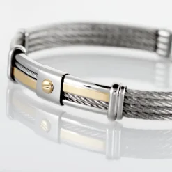 Bracelet Davilia Or Acier Bicolore