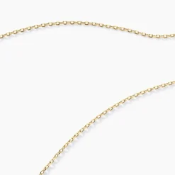 Chaîne Igoa Maille Forçat Diamantee Or Jaune