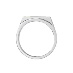 Chevalière Jourdan Lord Acier Bicolore Diamant