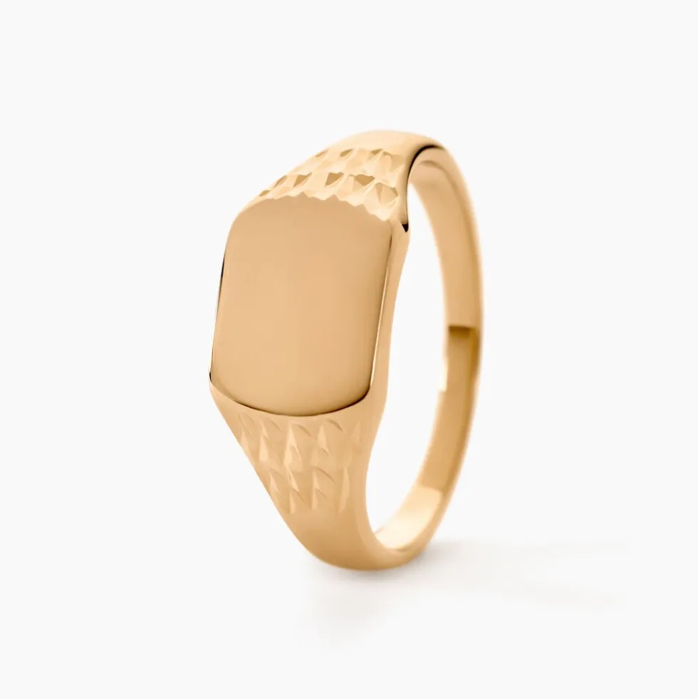 Chevalière Leons Plaqué Or