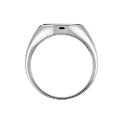 Chevalière Argent Blanc Aileas Malachite