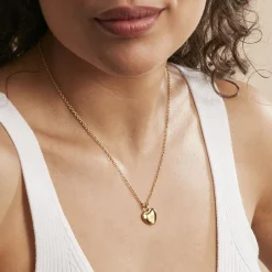 Collier Earline Acier Doré