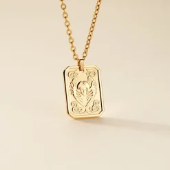 Collier Phebus Him Acier