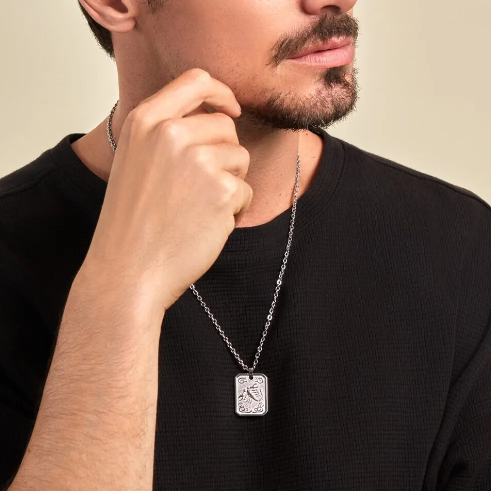 Collier Phebus Him Acier