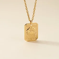 Collier Phebus Him Acier Jaune