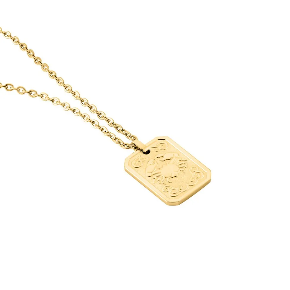 Collier Phebus Him Acier Jaune