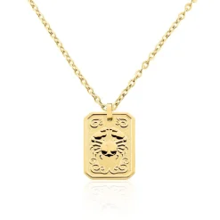 Collier Phebus Him Acier Jaune