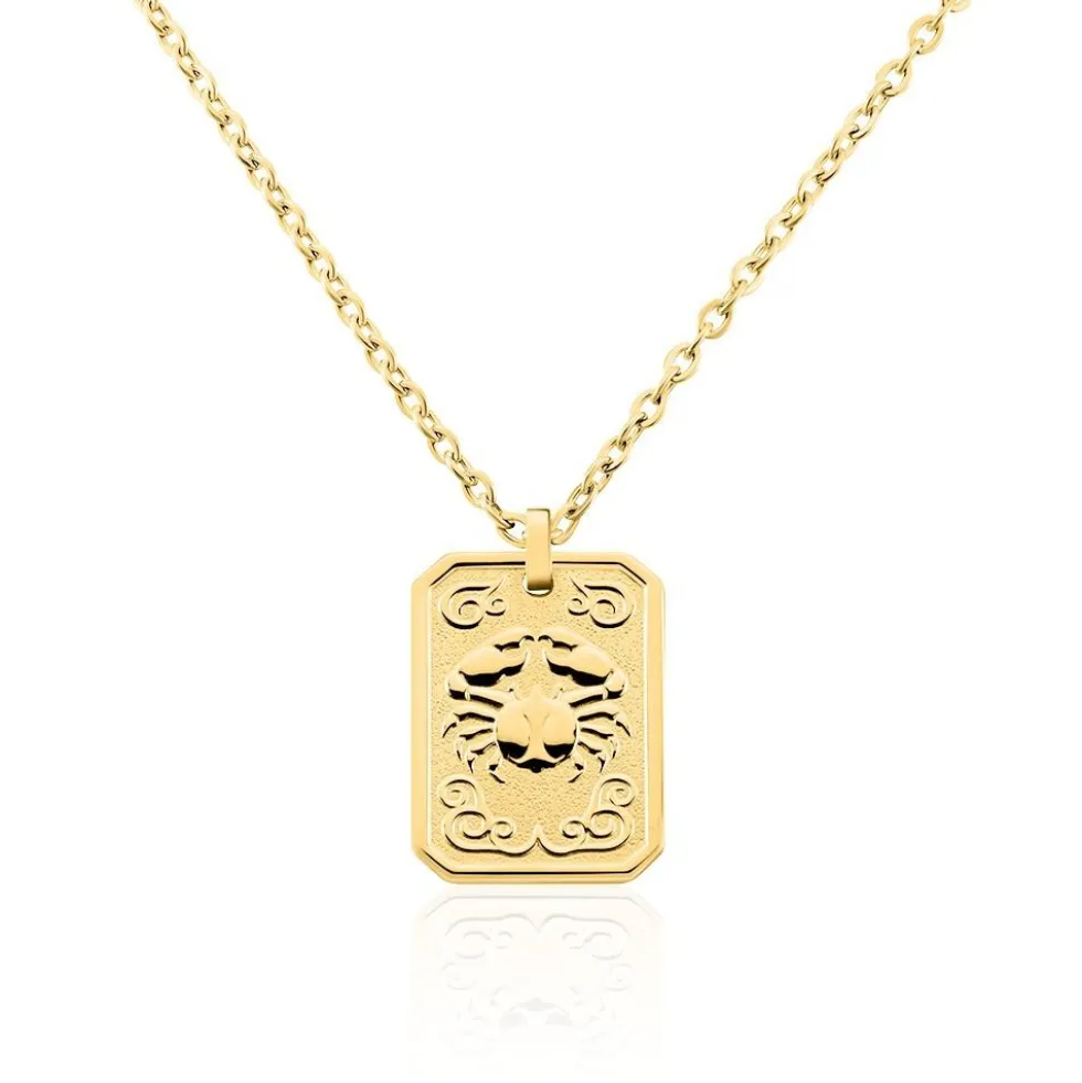 Collier Phebus Him Acier Jaune