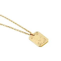 Collier Phebus Him Acier Jaune