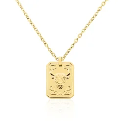 Collier Phebus Him Acier Jaune