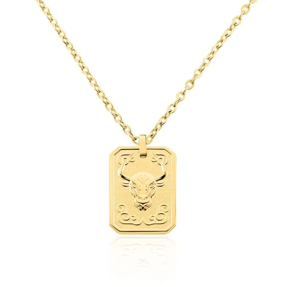 Collier Phebus Him Acier Jaune