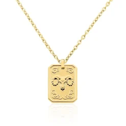 Collier Phebus Him Acier Jaune