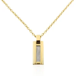 Collier Phebus Him Classique Acier Jaune