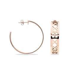 Créoles Airelle Acier Rose