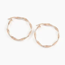 Créoles Argent Rose Alieno