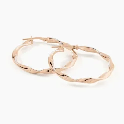 Créoles Argent Rose Alieno