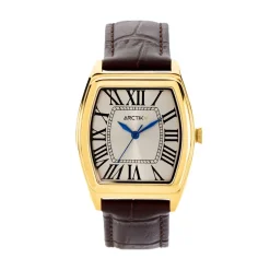 Montre Arctik Globe Argenté