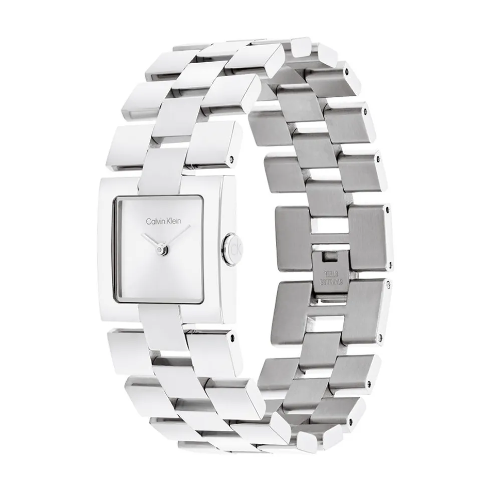 Montre Calvin Klein Ck Meridian Argenté