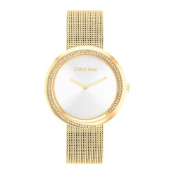 Montre Calvin Klein Twist Argenté
