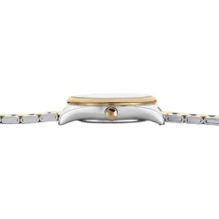 Montre Cluse Feroce Mini Argenté