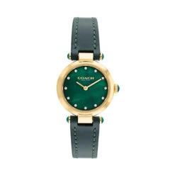 Montre Coach Cary Vert