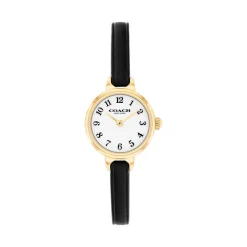 Montre Coach Iris Blanc