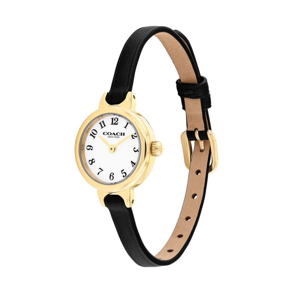 Montre Coach Iris Blanc