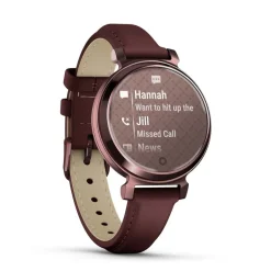 Montre Connectée Garmin Lily 2 Marron
