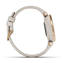 Montre Connectée Garmin Lily Active