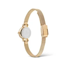 Montre Daniel Wellington Petite Mini Blanc