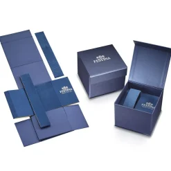 Montre Festina Timeless Chronograph Bleu