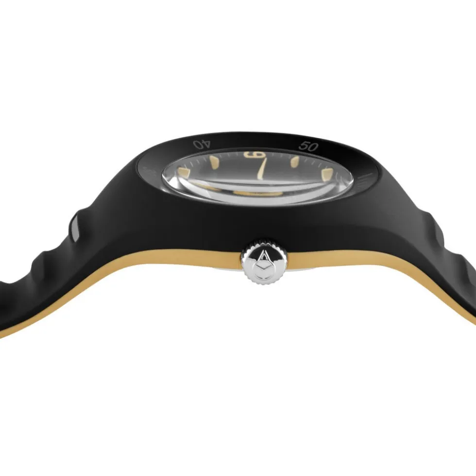 Montre Ice Watch Pierre Leclercq Noir