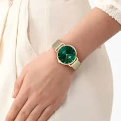 Montre Lacoste Crocorigin Vert
