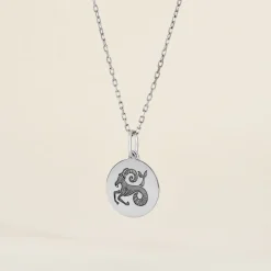 Pendentif Zodiaque Rond Argent Blanc